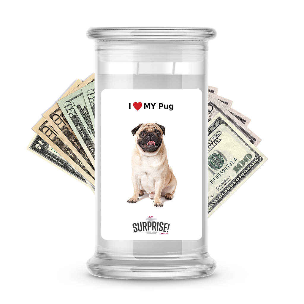 I ❤️ My Pug | Dog Surprise Cash Candles