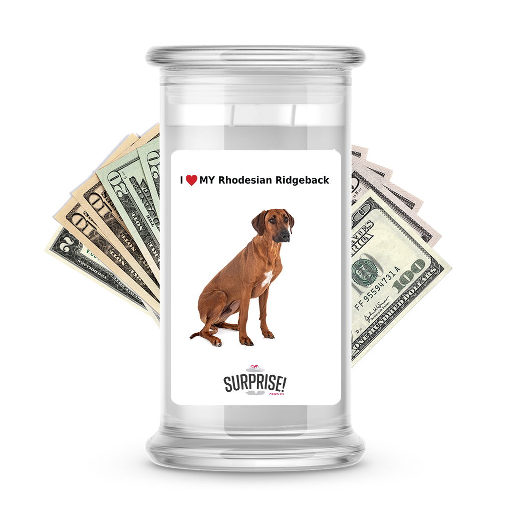 I ❤️ My Rhodesian ridgeback | Dog Surprise Cash Candles