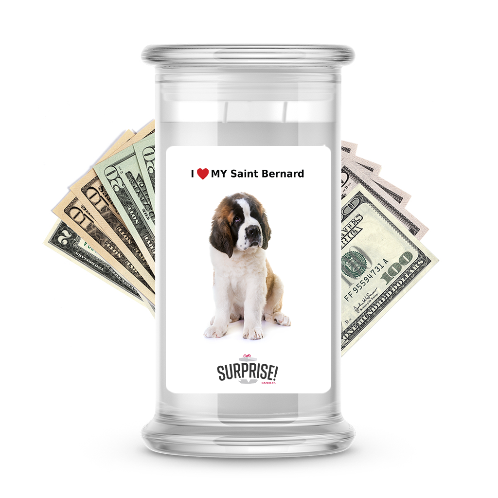 I ❤️ My Saint Bernard | Dog Surprise Cash Candles
