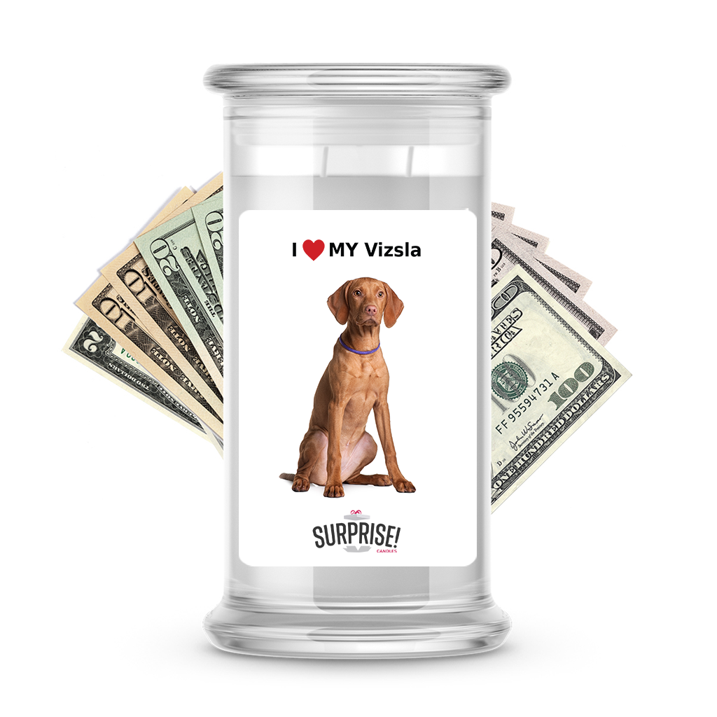 I ❤️ My Vizsla | Dog Surprise Cash Candles