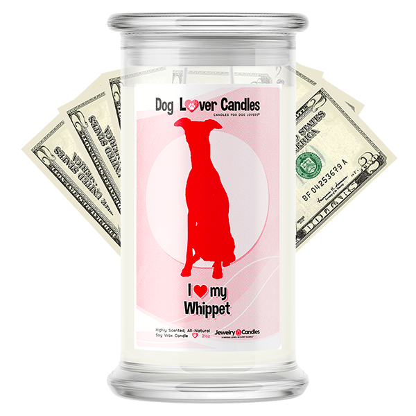 Whippet Dog Lover Cash Candle