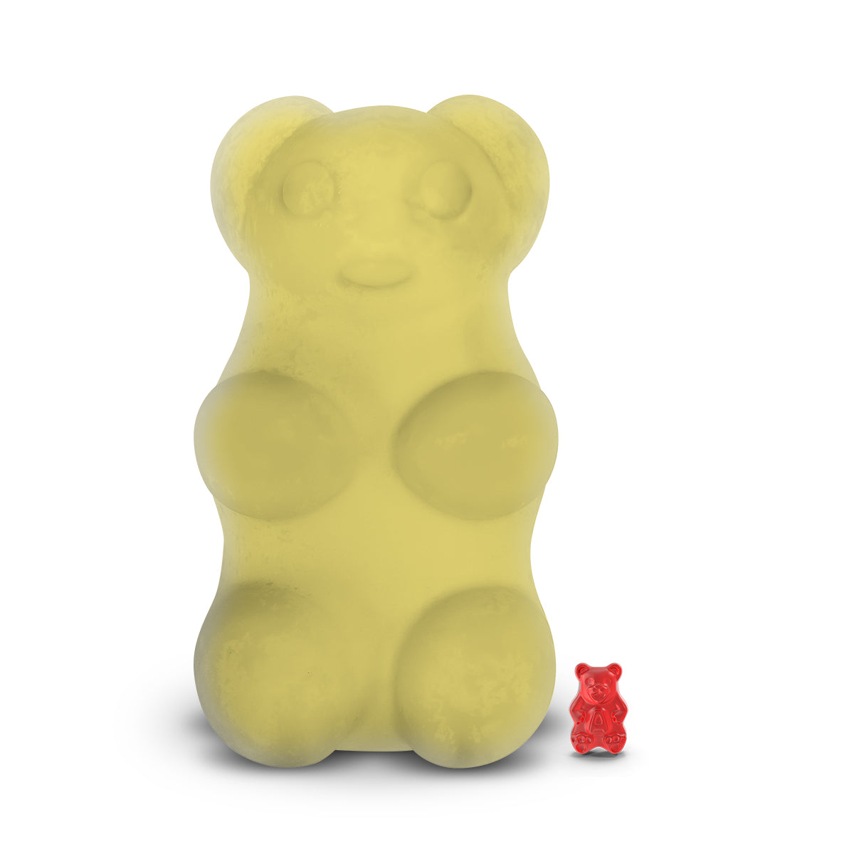 Iced Lemon Cookies GIANT Cash Money Surprise Bear