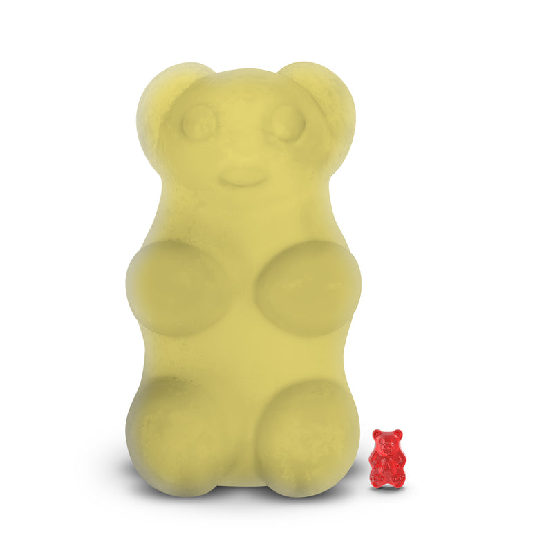 French Vanilla GIANT Jewelry Surprise Bear