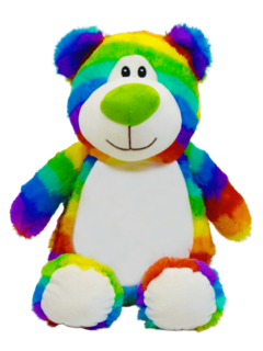 Rainbow Teddy Bear