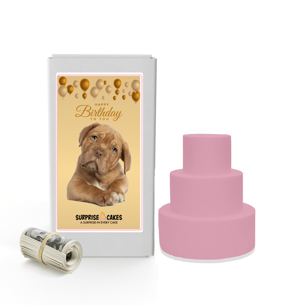 Happy Birthday to You 10 | Birthday Surprise Cash Cakes