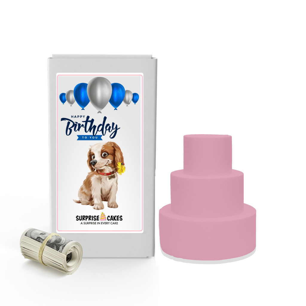 Happy Birthday to you 20 | Birthday Surprise Cash Cakes