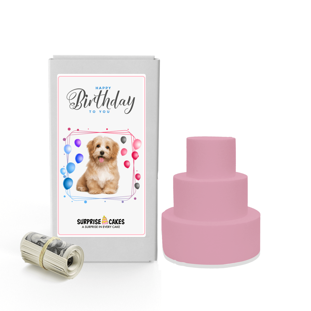 Happy Birthday to You 5 | Birthday Surprise Cash Cakes