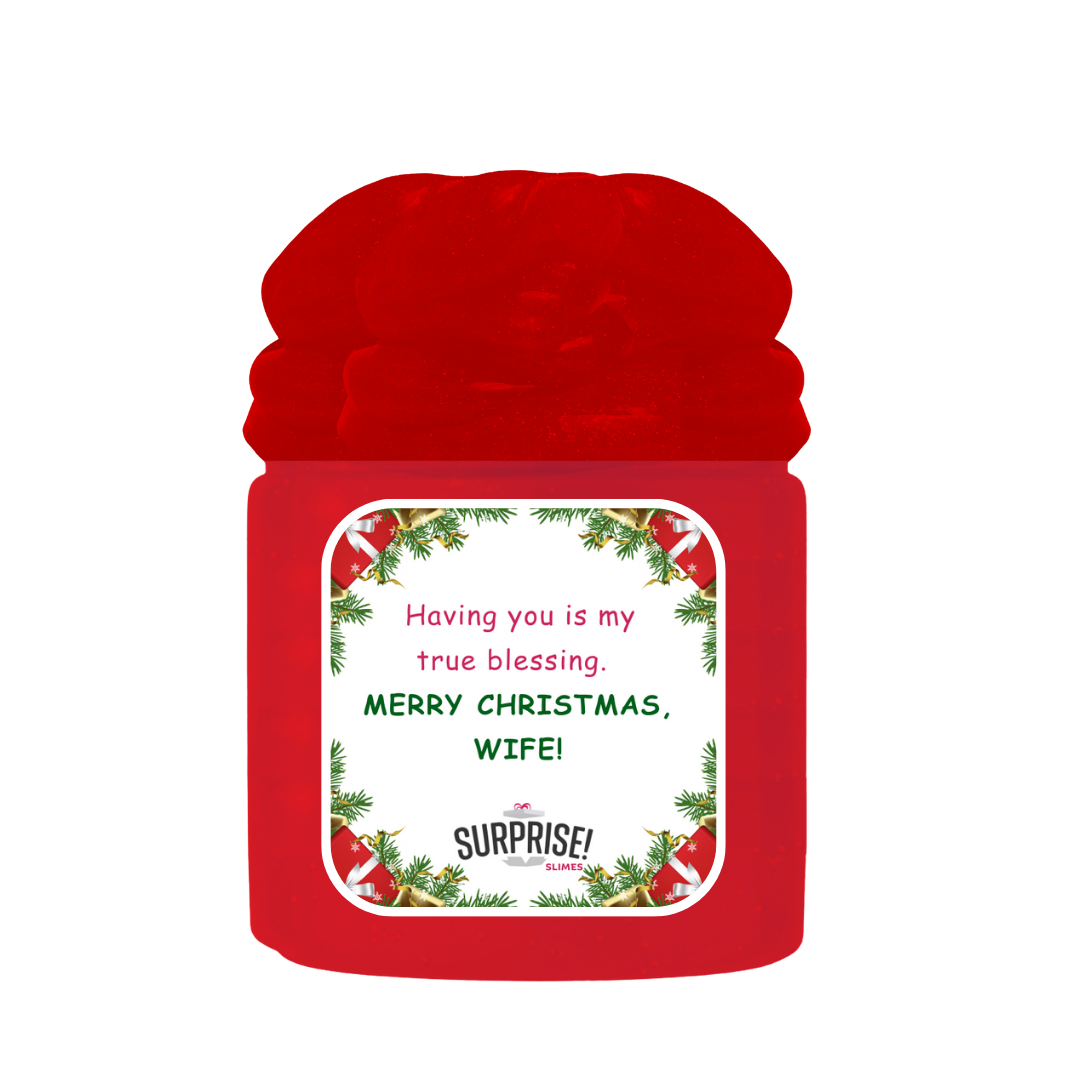 HAVING YOU IS MY TRUE BLESSING. MEERY CHRISTMAS, WIFE! MERRY CHRISTMAS SLIME