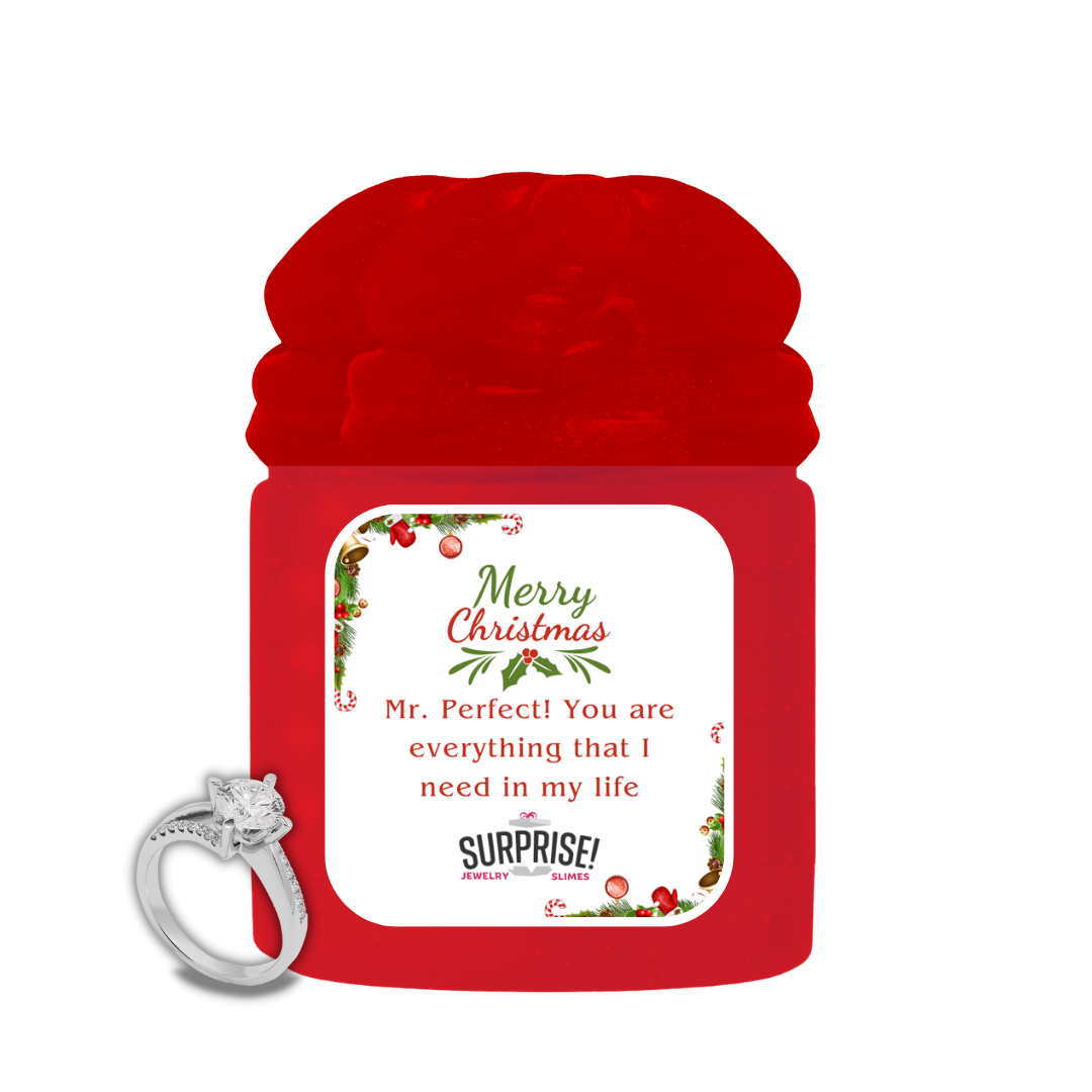 MR. PERFECT! YOU ARE EVERYTHING THAT I NEED IN MY LIFE MERRY CHRISTMAS JEWELRY SLIME