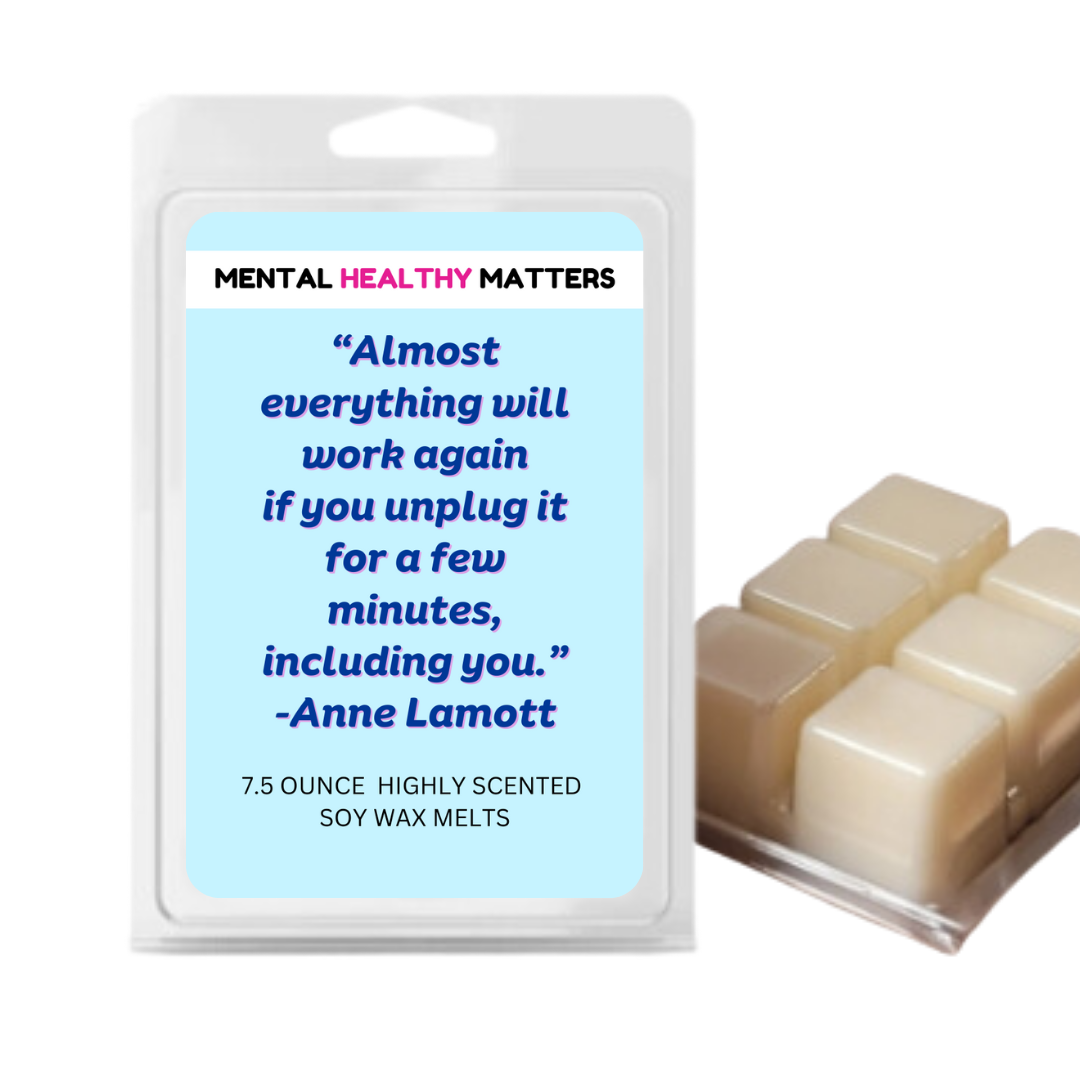 ALMOST EVERYTHING WILL WORK AGAIN IF YOU UNPLUG IT FOR A FEW MINITUS, INCLUDING  YOU. | MENTAL HEALTH WAX MELTS