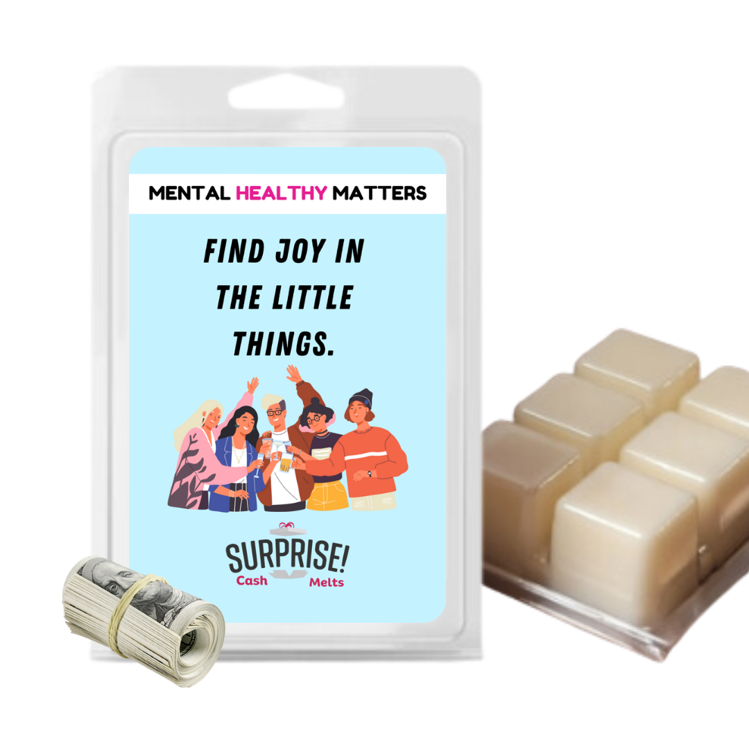 FIND JOY IN THE LITTLE THINGS | MENTAL HEALTH CASH WAX MELTS
