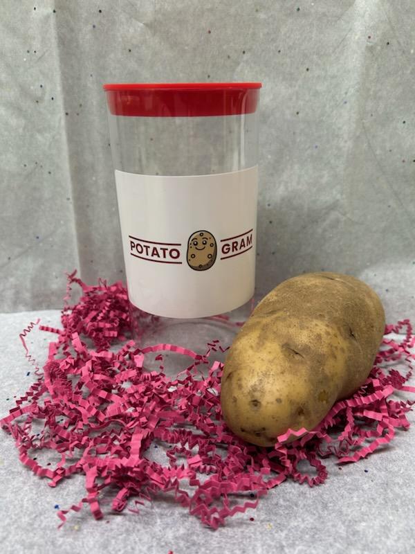 The Potato Gram - Cash Potatoes - Money Potatoes
