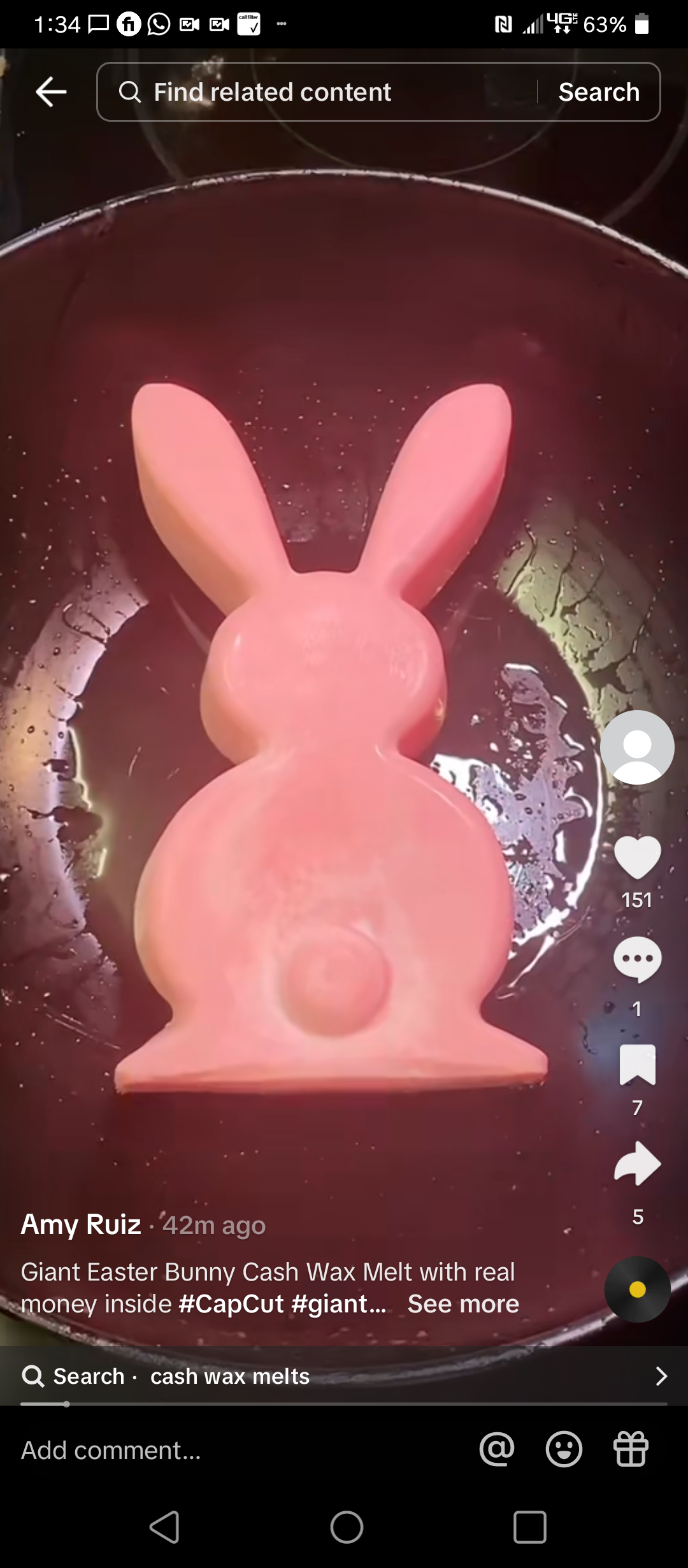 WORLDS LARGEST GIANT BUNNY RABBIT CASH WAX MELTS