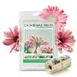 Pink Daisies Cash Wax Melts