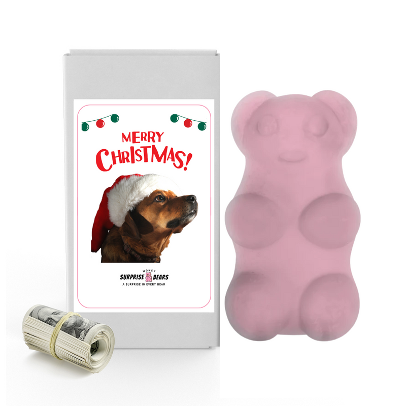 Merry Christmas Dog 4 | Christmas Surprise Cash Bears