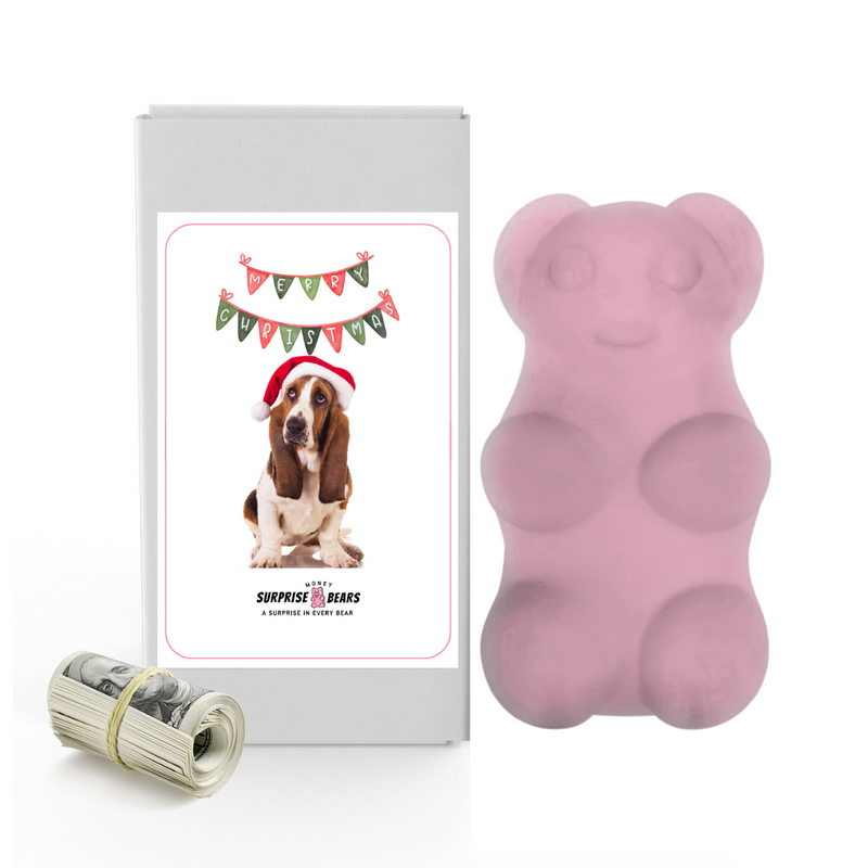 Merry Christmas Dog 5 | Christmas Surprise Cash Bears
