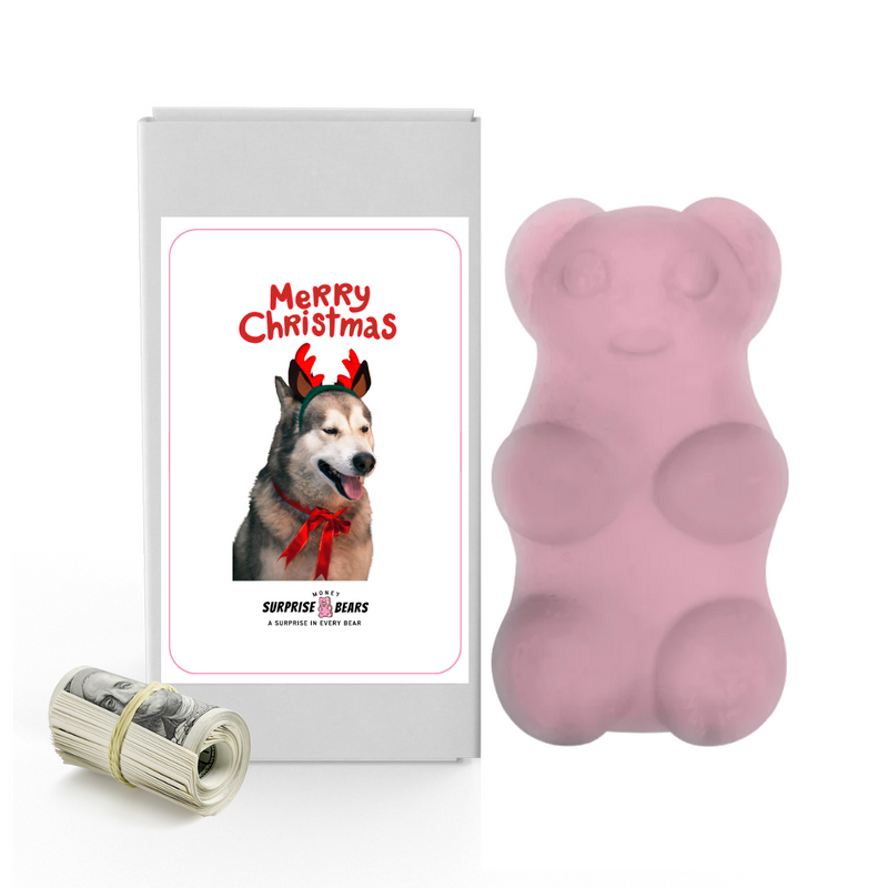 Merry Christmas Dog 7 | Christmas Surprise Cash Bears