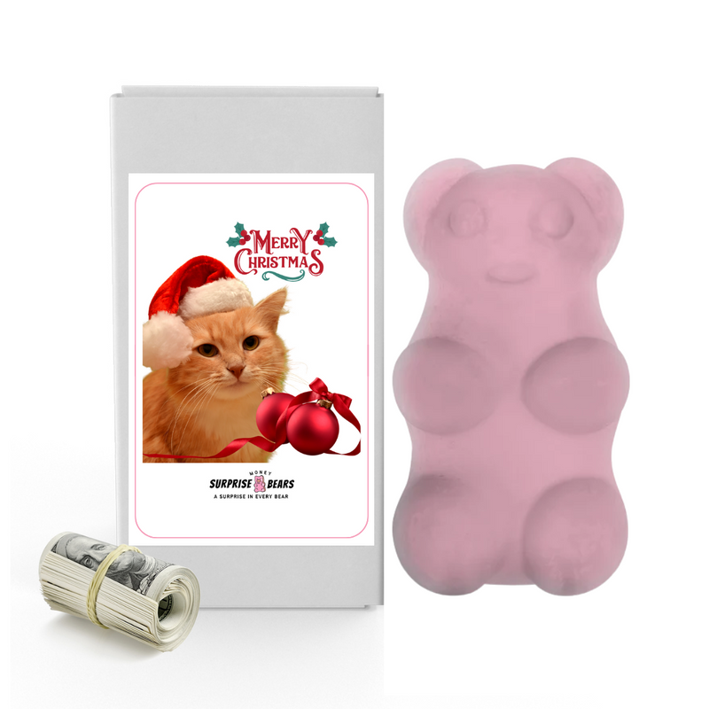 Merry Christmas Cat | Christmas Surprise Cash Bears