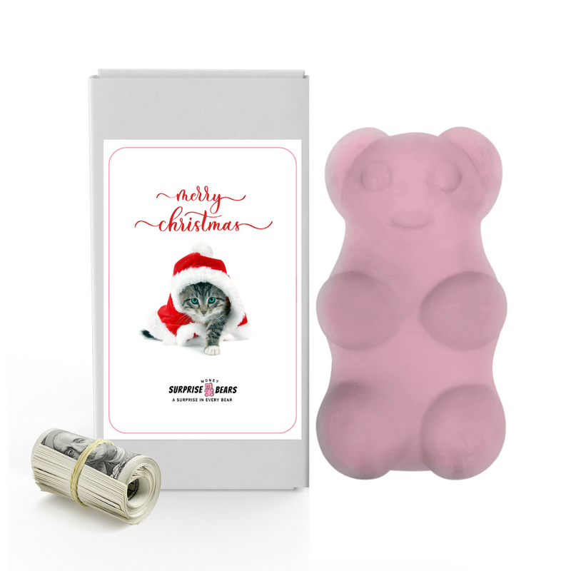 Merry Christmas Cat 2 | Christmas Surprise Cash Bears