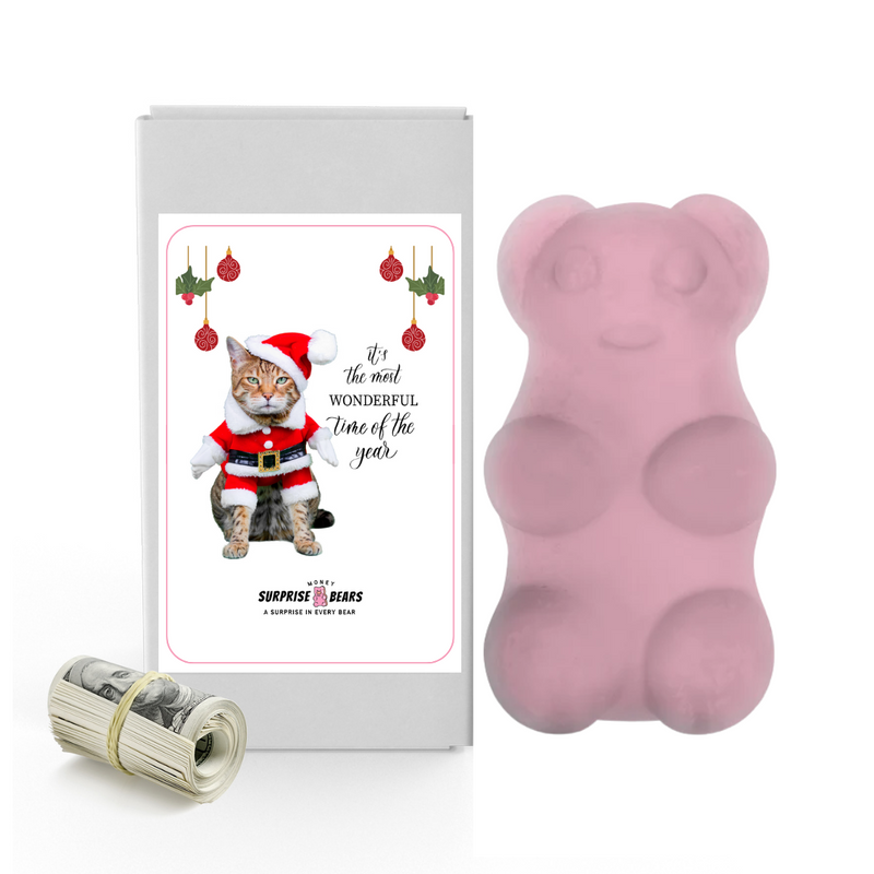 It's the Most wonderful time of the Year | Christmas Surprise Cash Bears