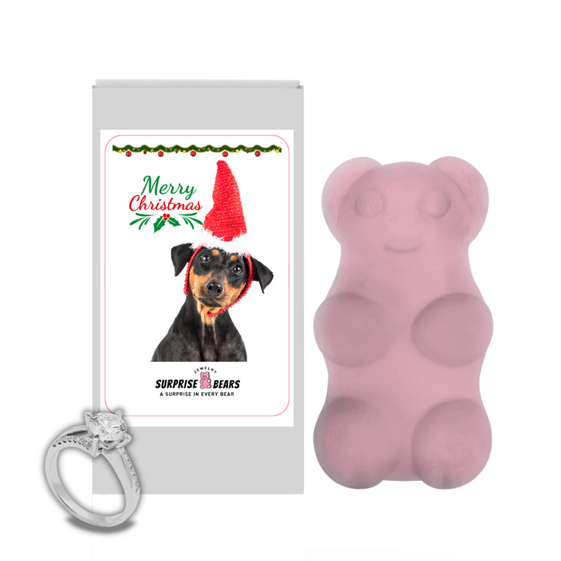 Merry Christmas | Christmas Surprise Jewelry Bears