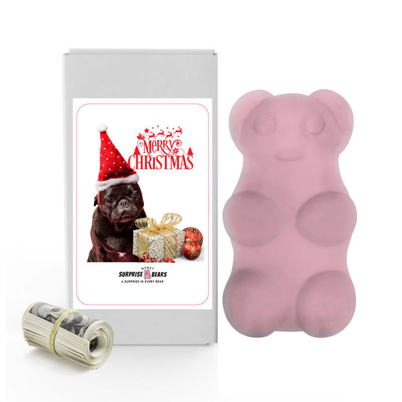 Merry Christmas Dog 8 | Christmas Surprise Cash Bears