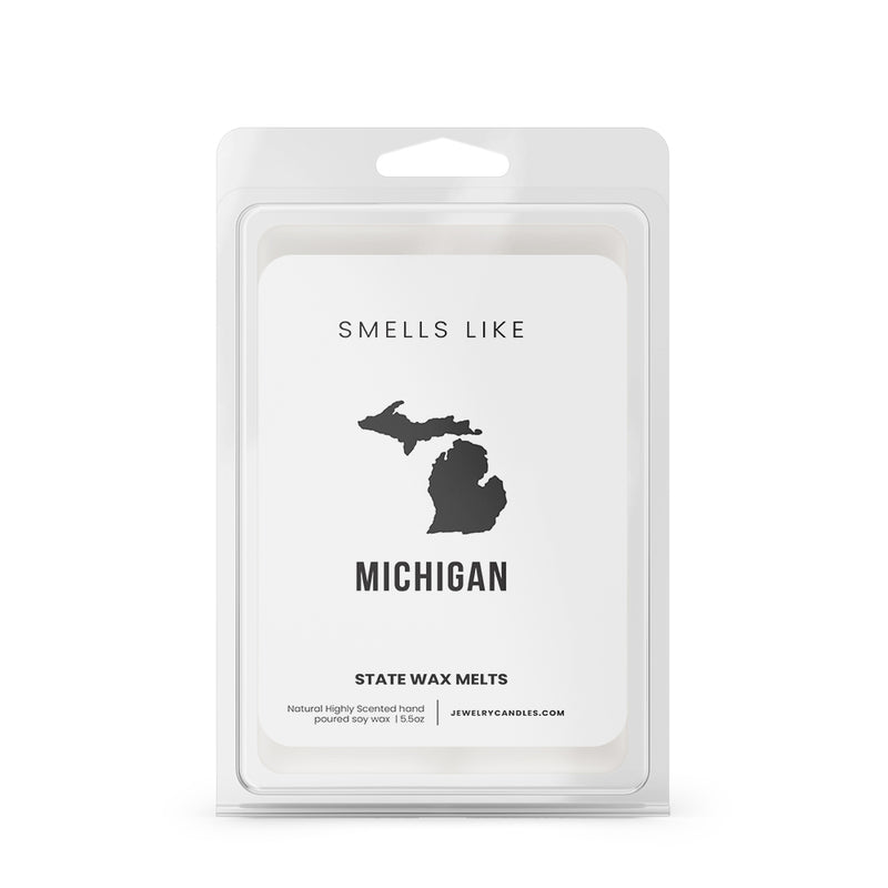 Smells Like Michigan State Wax Melts