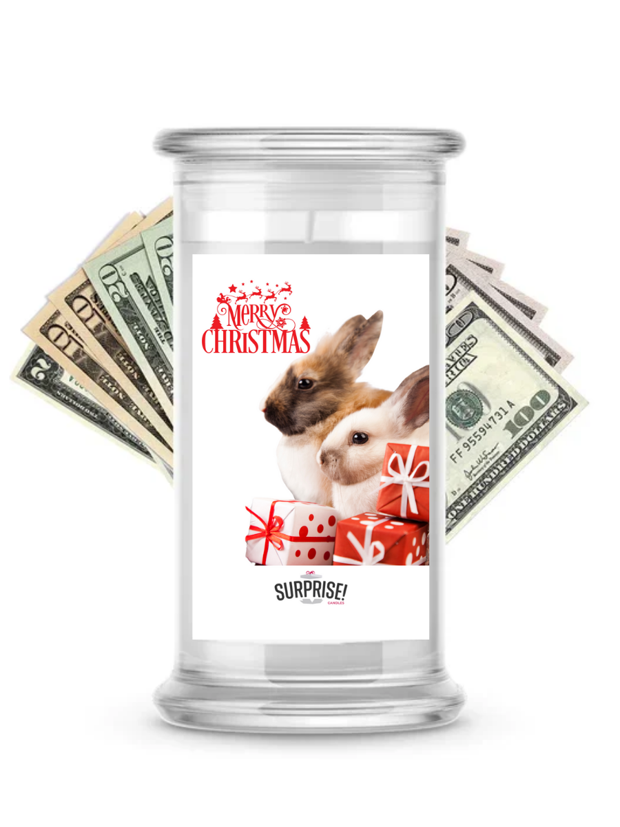 Merry Christmas Rabbit | Christmas Surprise Cash Candles