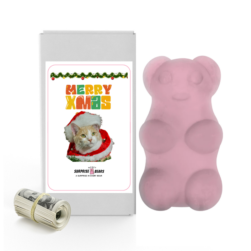 Merry Xmas | Christmas Surprise Cash Bears