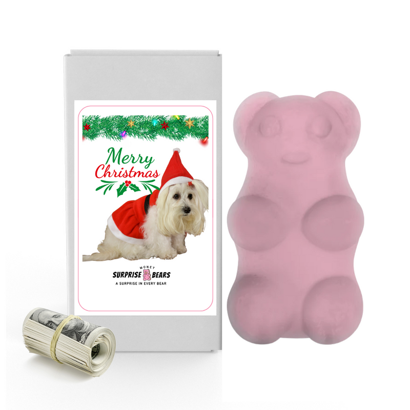 Merry Christmas Dog 9 | Christmas Surprise Cash Bears