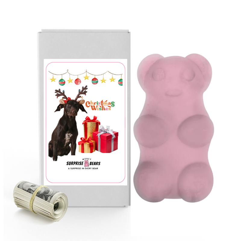 Christmas Wishes | Christmas Surprise Cash Bears