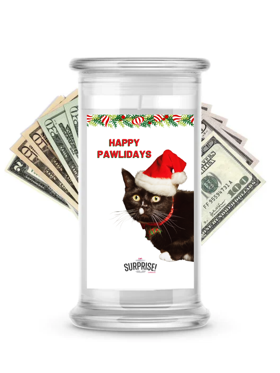 Happy Pawlidays 2 | Christmas Surprise Cash Candles