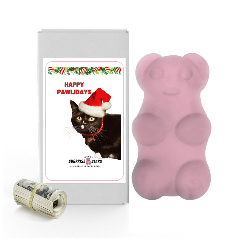 Happy Pawlidays 2 | Christmas Surprise Cash Bears