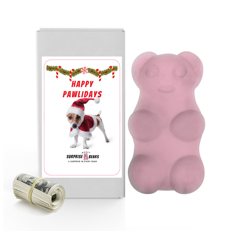 Happy Pawlidays 4 | Christmas Surprise Cash Bears