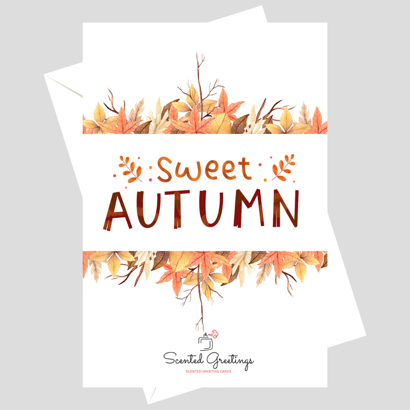 Sweet Autumn | Scented Greeting Cards