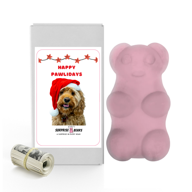 Happy Pawlidays 6 | Christmas Surprise Cash Bears