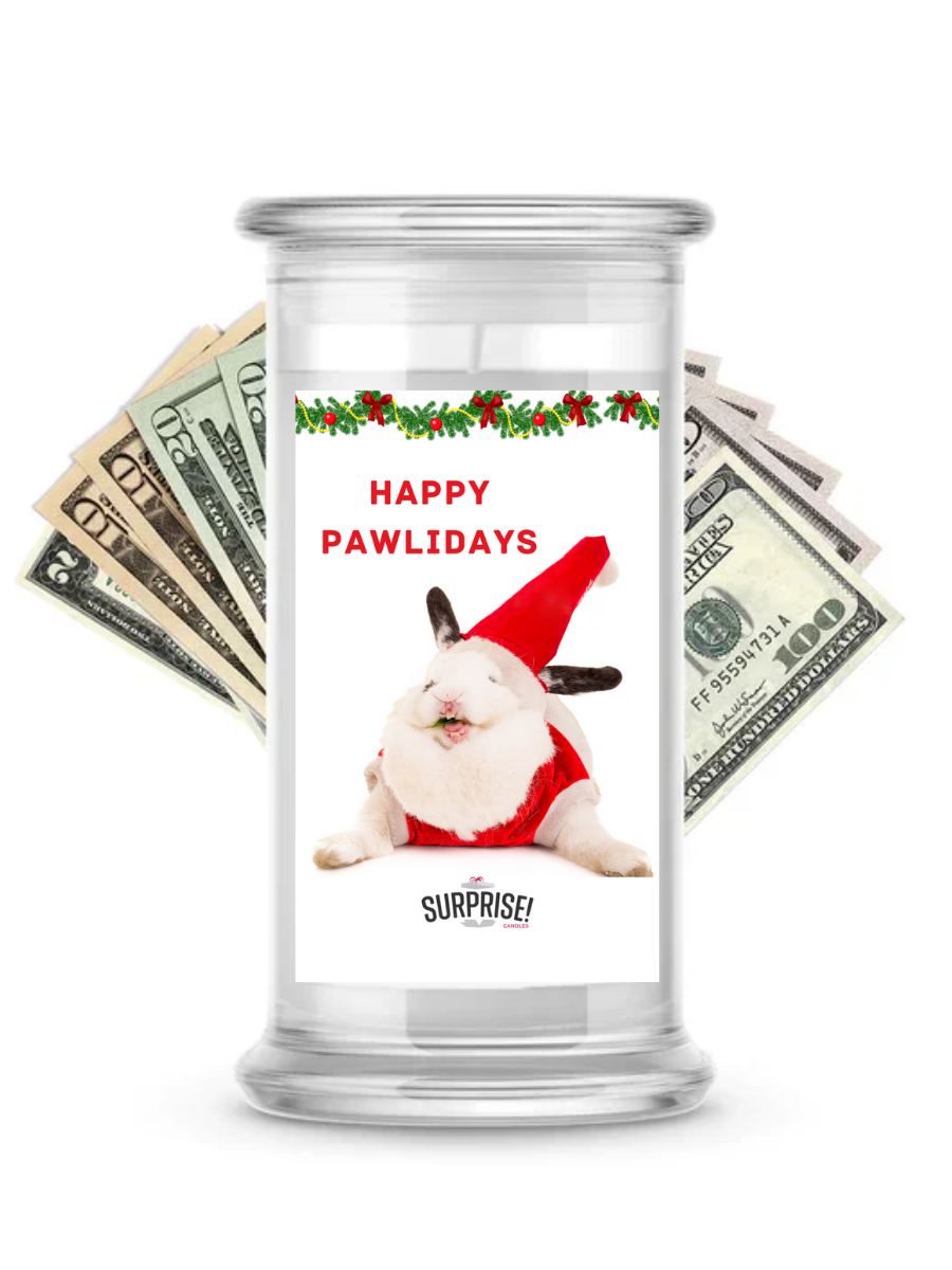 Happy Pawlidays 7 | Christmas Surprise Cash Candles