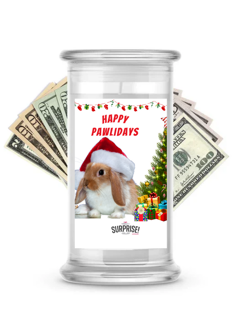 Happy Pawlidays 11 | Christmas Surprise Cash Candles