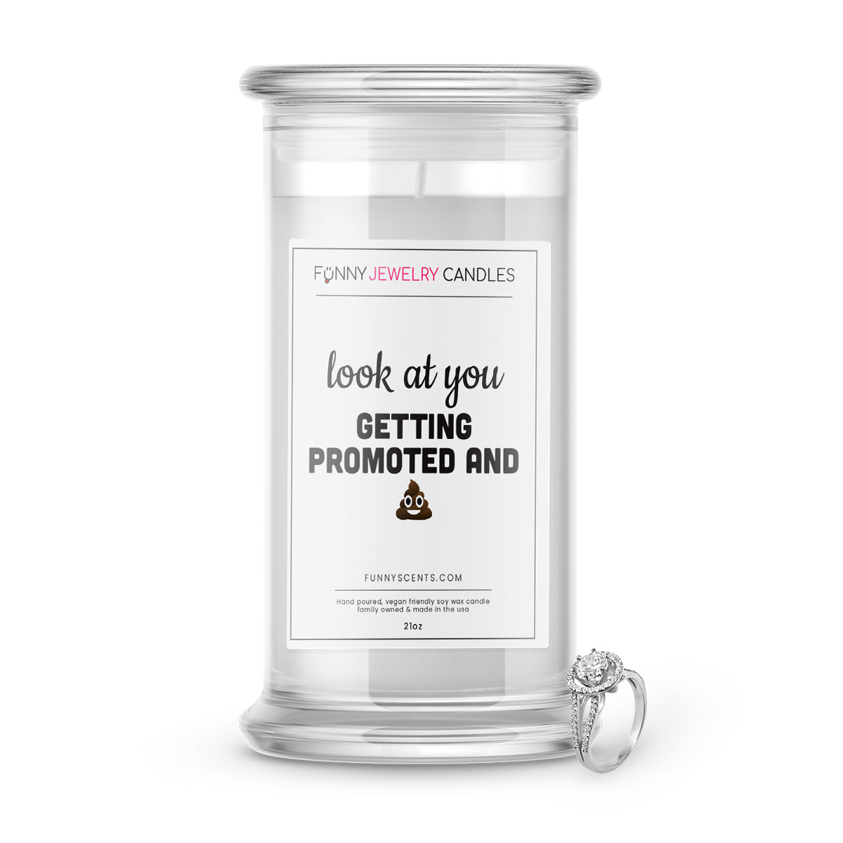Look at you Getting Promoted  and Shit Jewelry Funny Candles