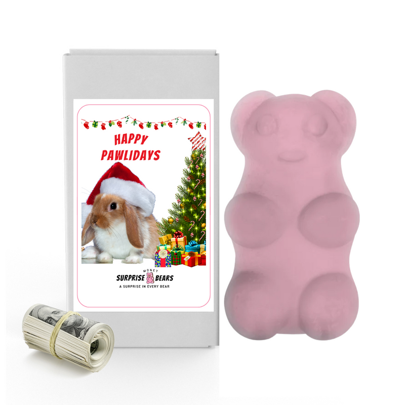 Happy Pawlidays 11 | Christmas Surprise Cash Bears