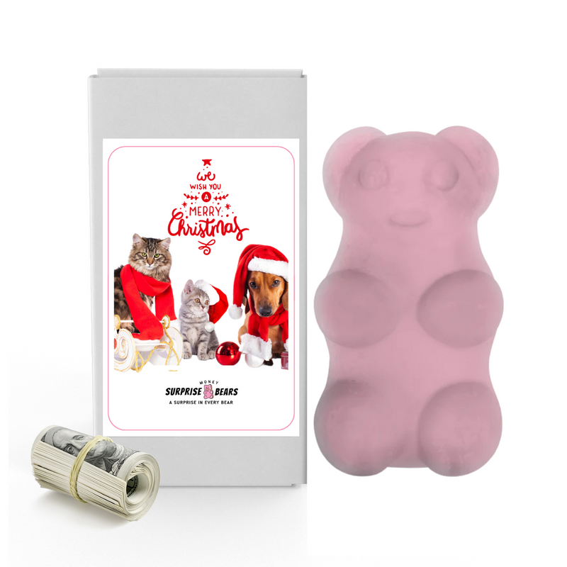 We Wish You Merry Christmas | Christmas Surprise Cash Bears