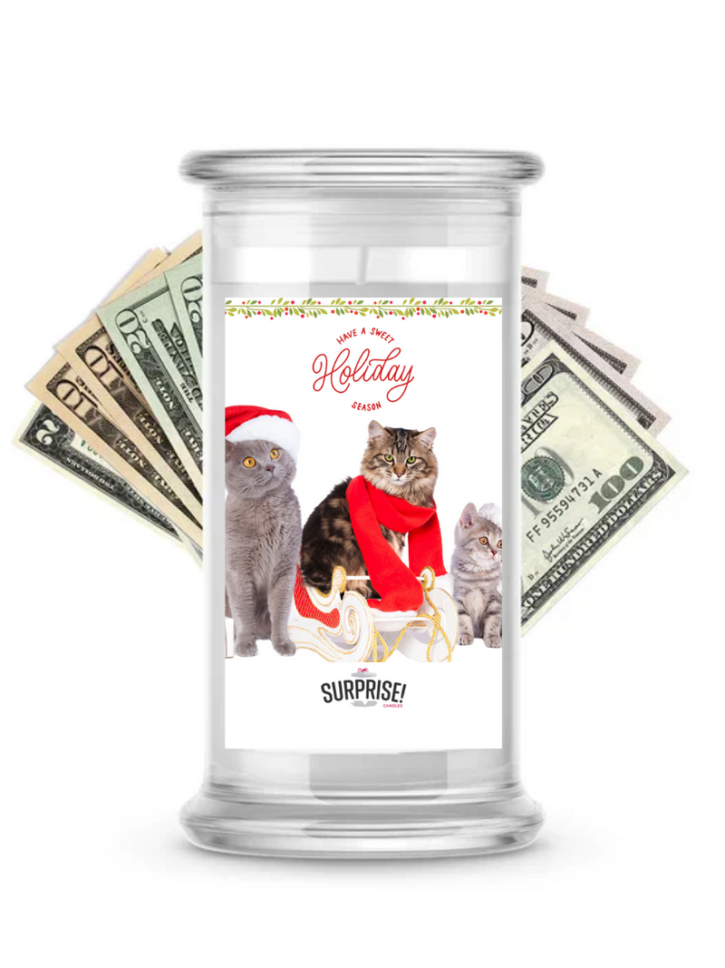 Have a Sweet Holiday Season  | Christmas Surprise Cash Candles