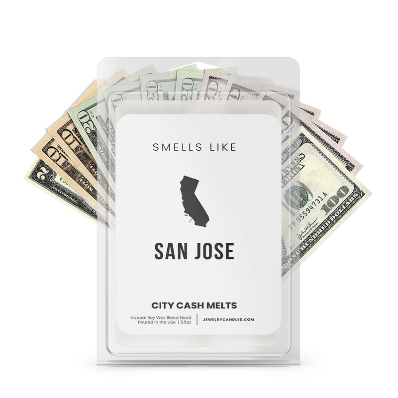 Smells Like San Jose City Cash Wax Melts