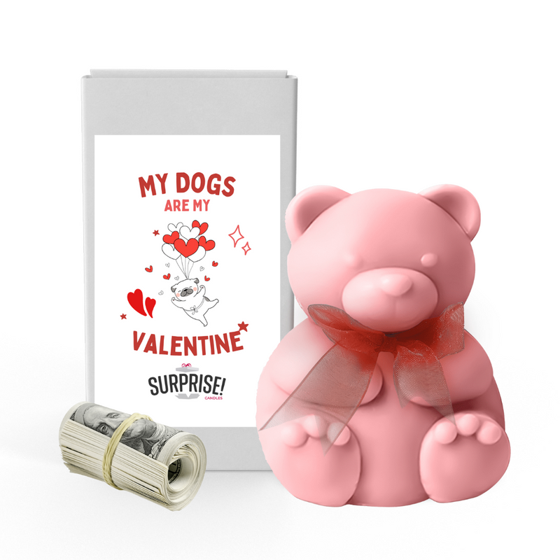 My Dogs are My Valentine| Valentines Day Surprise Cash Money Bear Wax Melts