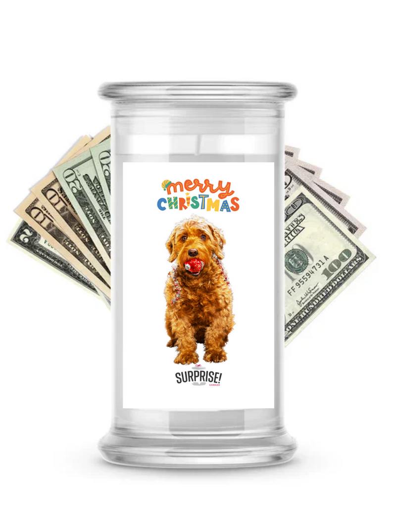 Merry Christmas Dog | Christmas Surprise Cash Candles