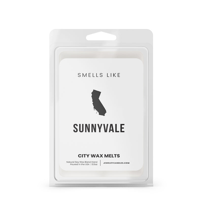 Smells Like Sunnyvale City Wax Melts