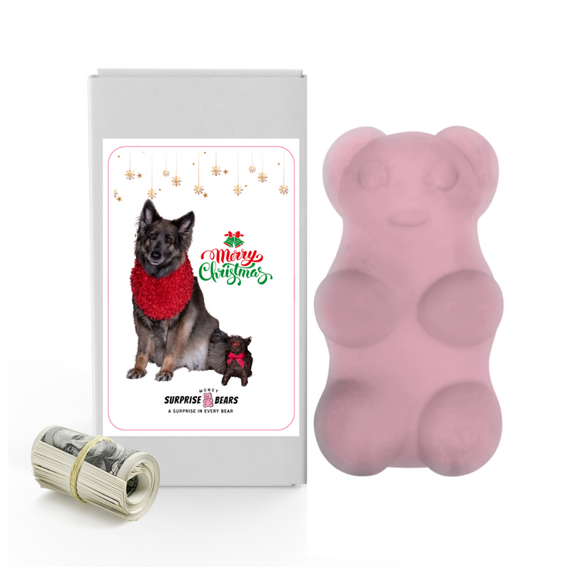 Merry Christmas Dog 2 | Christmas Surprise Cash Bears