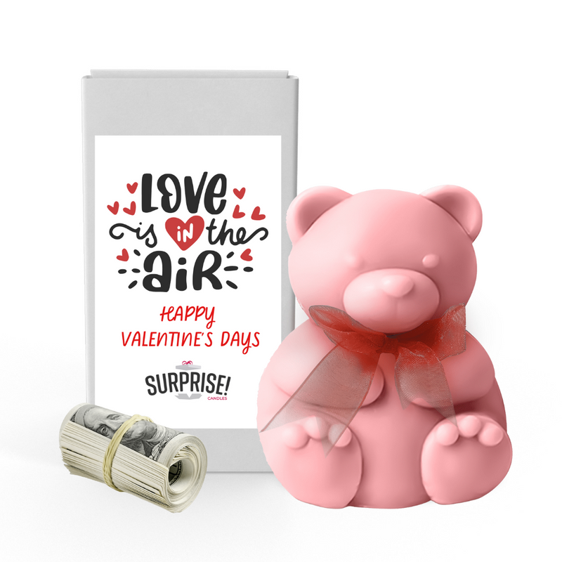 Love in the Air Happy Valentine's Day  | Valentines Day Surprise Cash Money Bear Wax Melts
