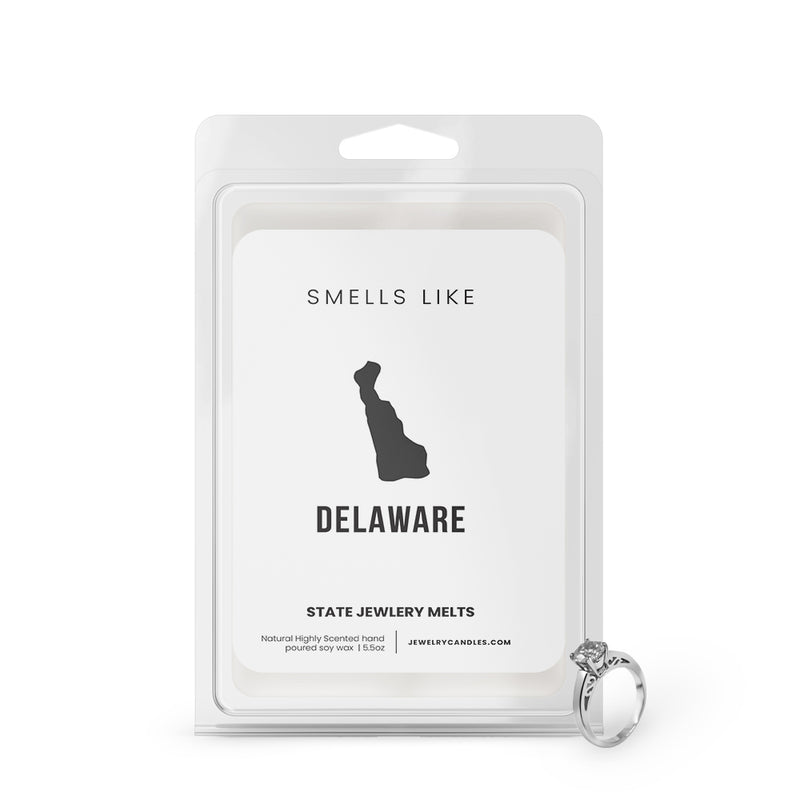 Smells Like Delaware State Jewelry Wax Melts