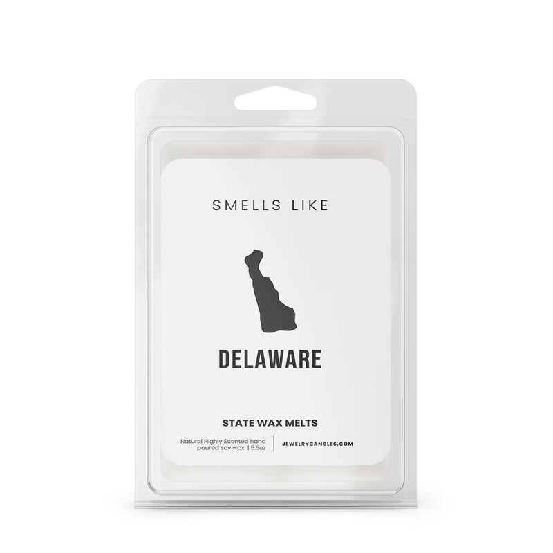 Smells Like Delaware State Wax Melts